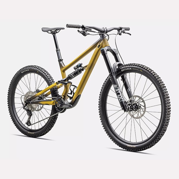 Status 2 170 | Satin Harvest Gold Tint