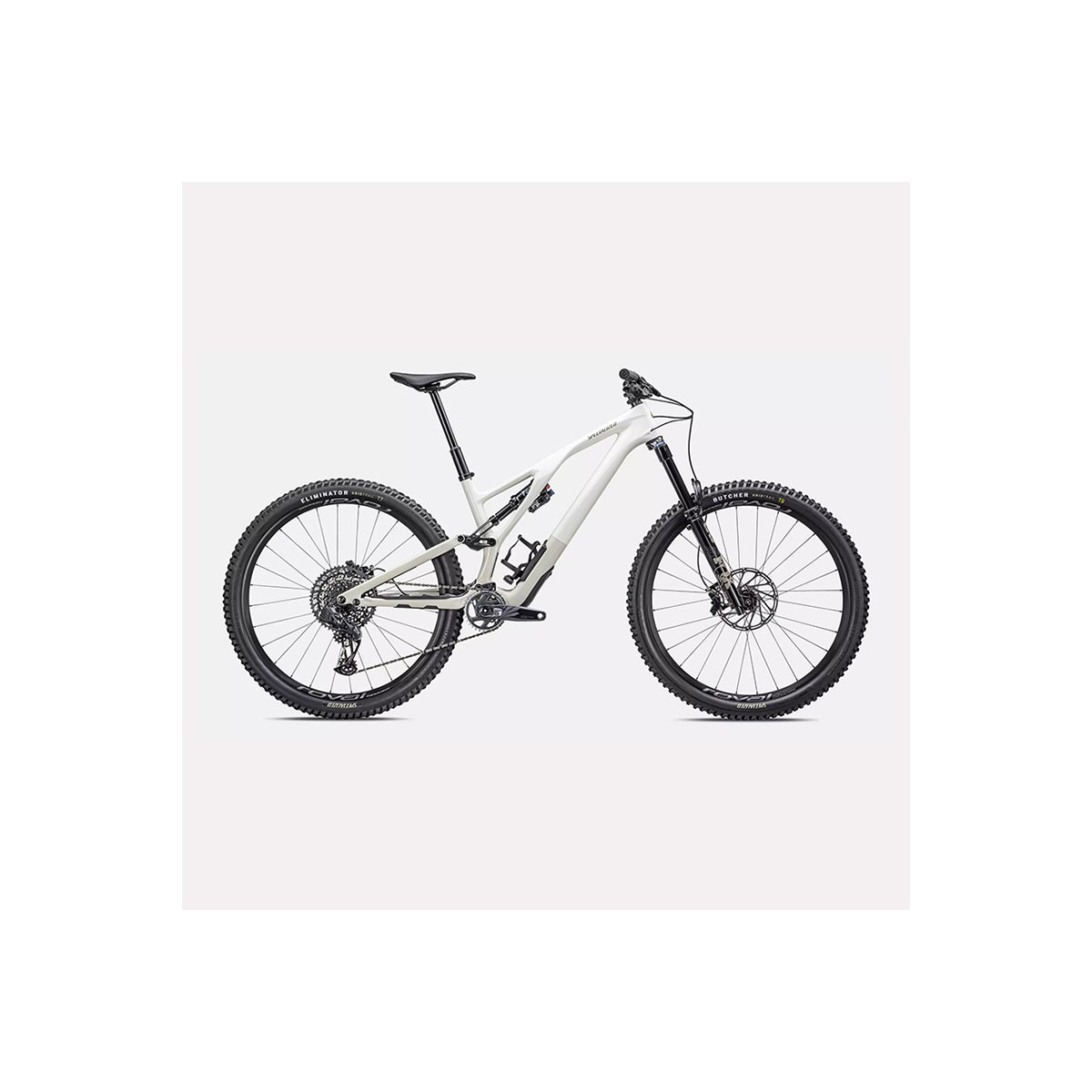 Stumpjumper EVO Expert | Gloss Birch