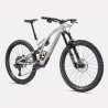 Stumpjumper EVO Expert | Gloss Birch