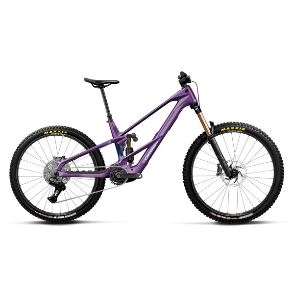 Wild LT M10 Mullet | Royal...