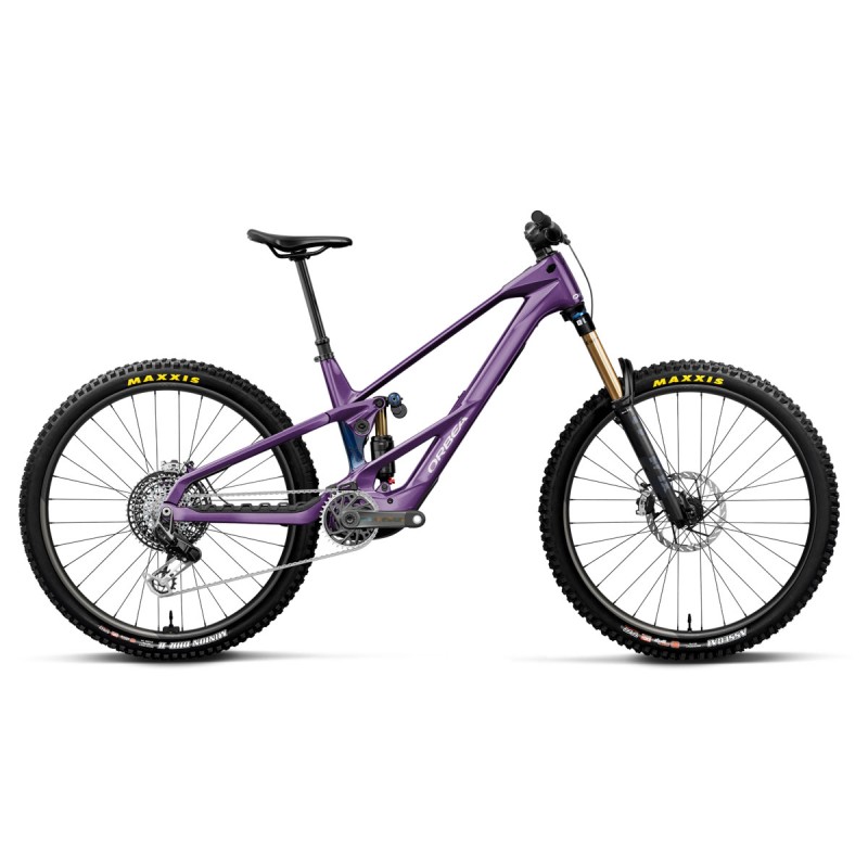 Wild LT M-LTD RS | Royal Plum